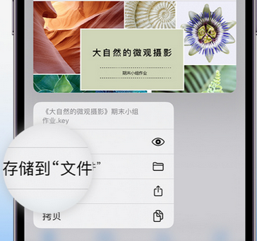 陈仓apple维修中心分享iPhone文件应用中存储和找到下载文件