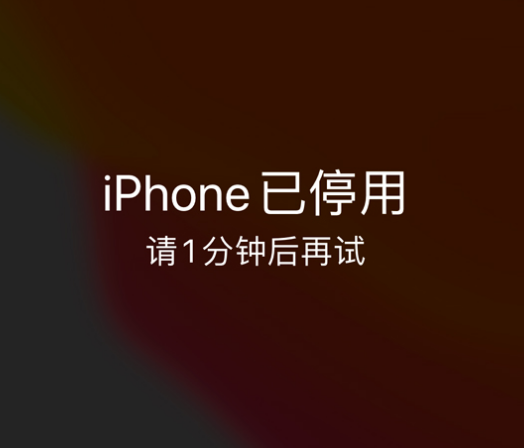 陈仓苹果手机维修分享:iPhone 显示“不可用”或“已停用”怎么办？还能保留数据吗？ 