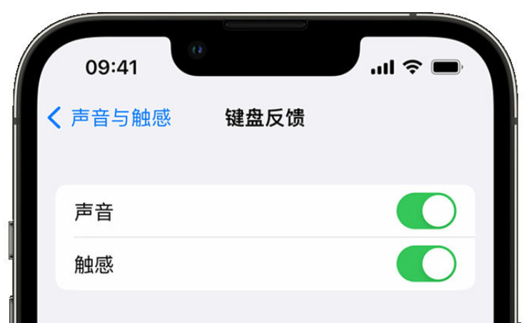 陈仓苹果手机维修分享iPhone 14触感键盘使用方法 