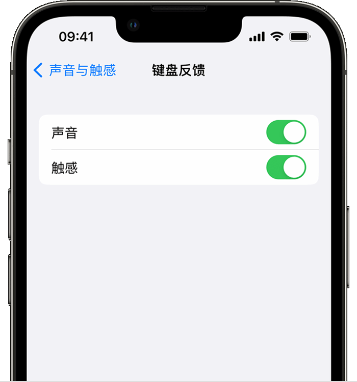 陈仓苹果14维修店分享如何在 iPhone 14 机型中使用触感键盘 