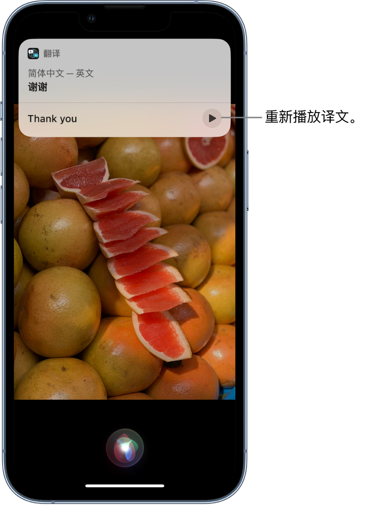 陈仓苹果14维修分享 iPhone 14 机型中使用 Siri：了解 Siri 能帮你做什么 