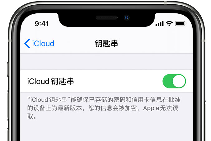 陈仓苹果手机维修分享在 iPhone 上开启 iCloud 钥匙串之后会储存哪些信息 