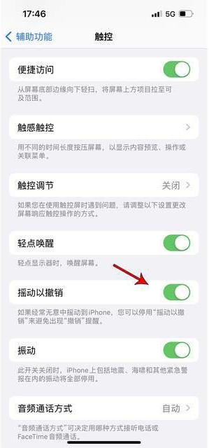 陈仓苹果手机维修分享iPhone手机如何设置摇一摇删除文字 